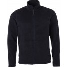 color:navy